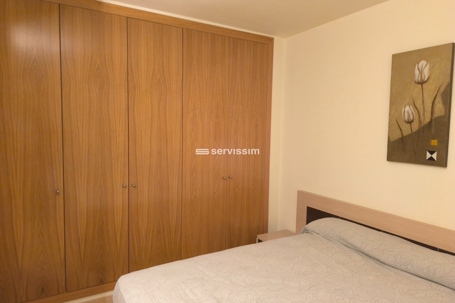 Alquiler - Apartamento / piso - Centro