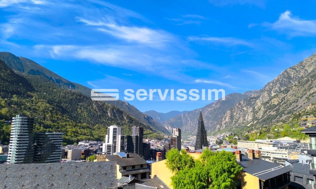Apartamento / piso - Alquiler - Sa Calma - Sa Calma