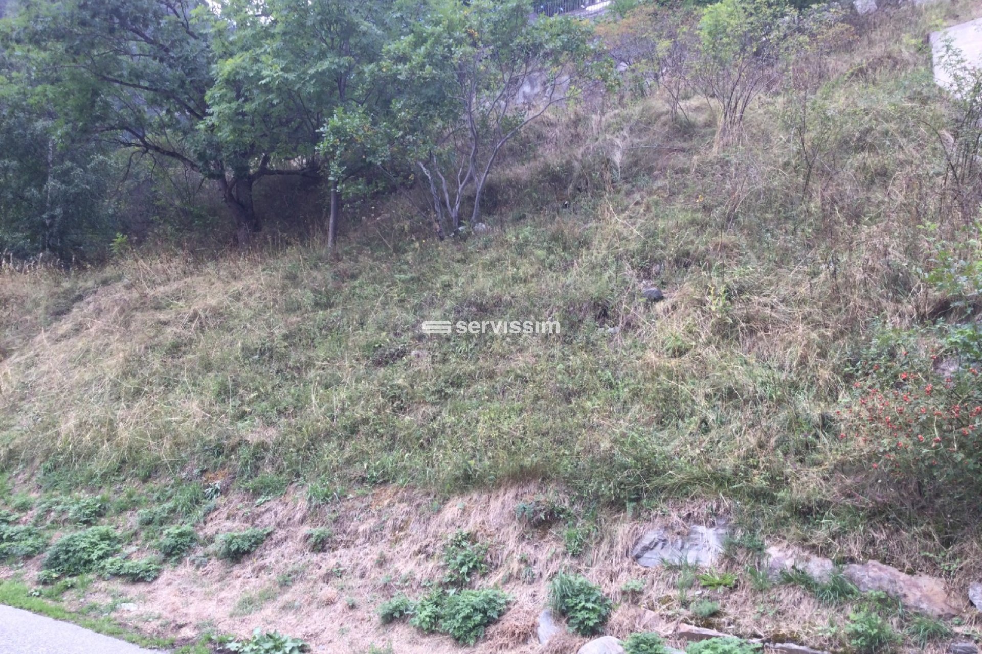 For sale - Plot / Development land - Arinsal