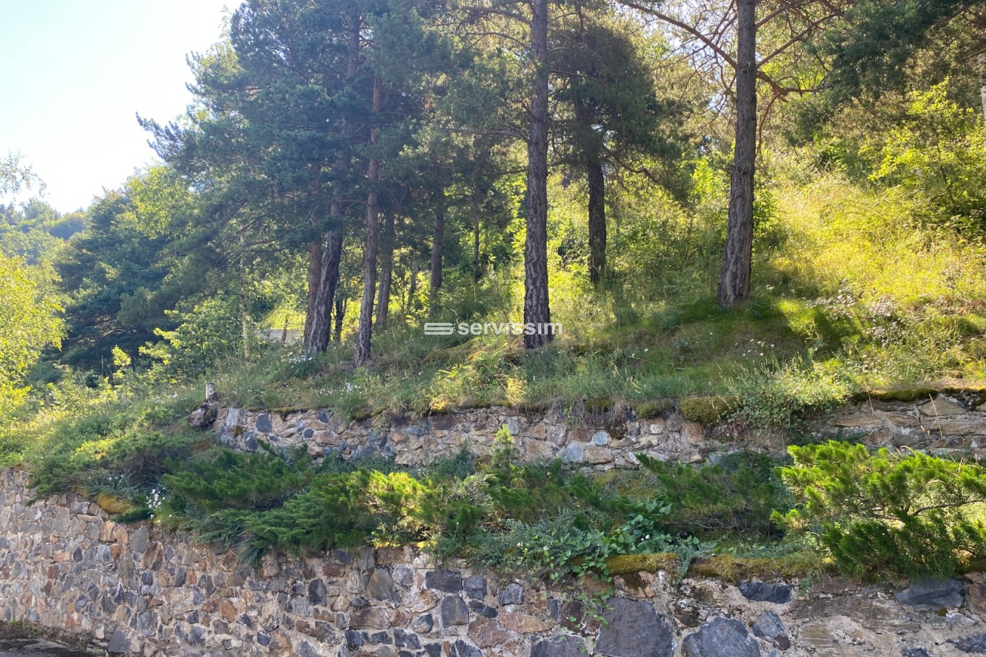 For sale - Plot / Development land - Auvinyà