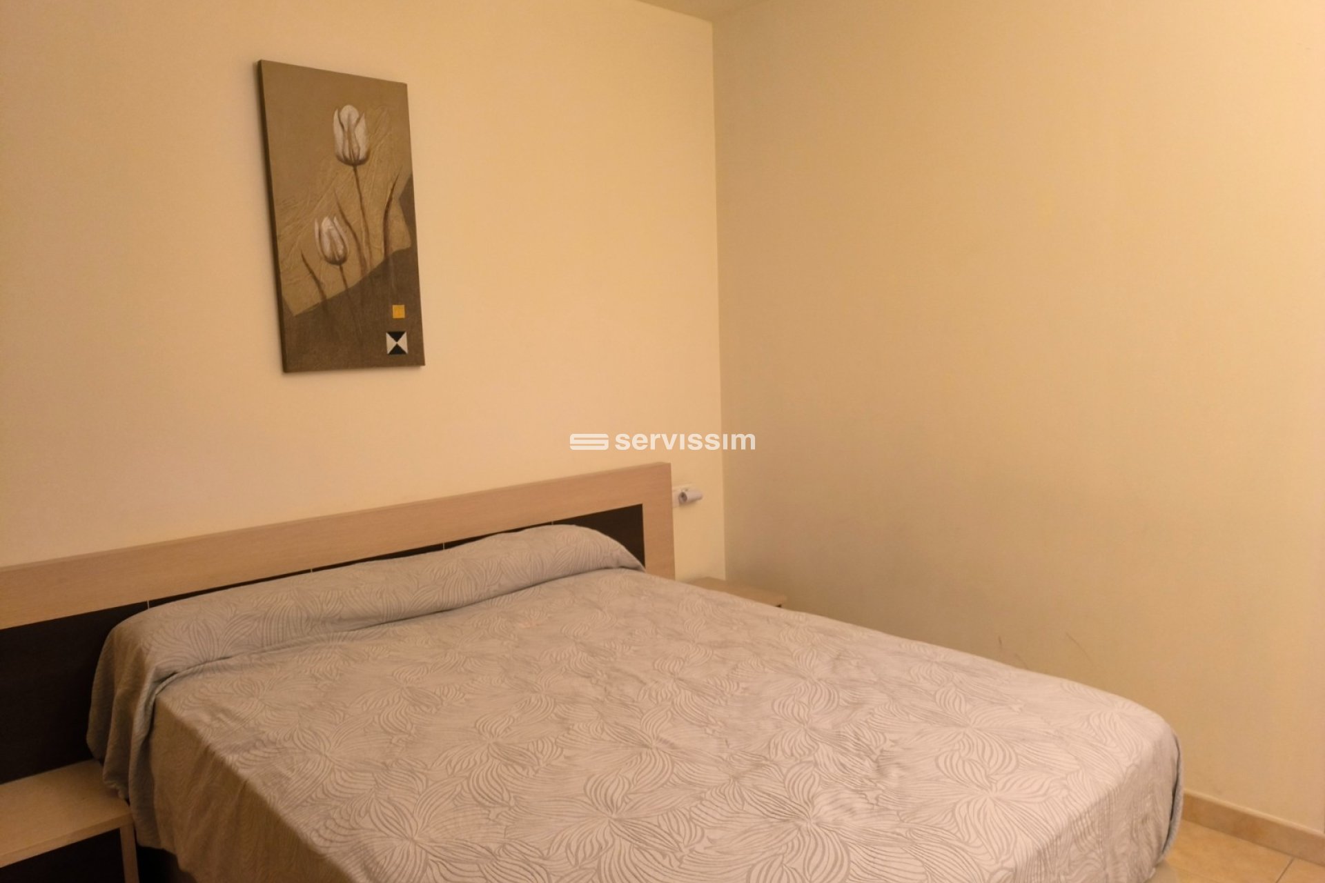 Location - Appartement - Centre ville