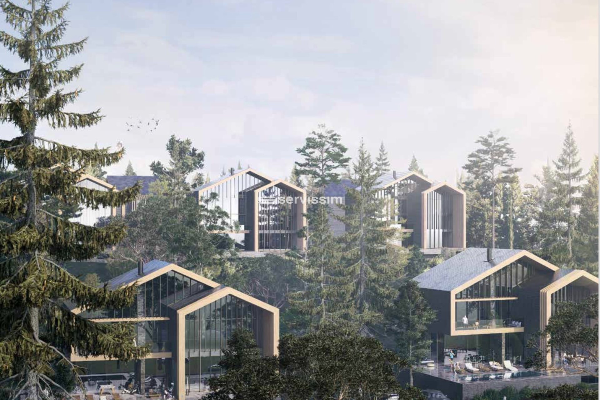 Obra nova - Parcel·la / Terreny - La Massana