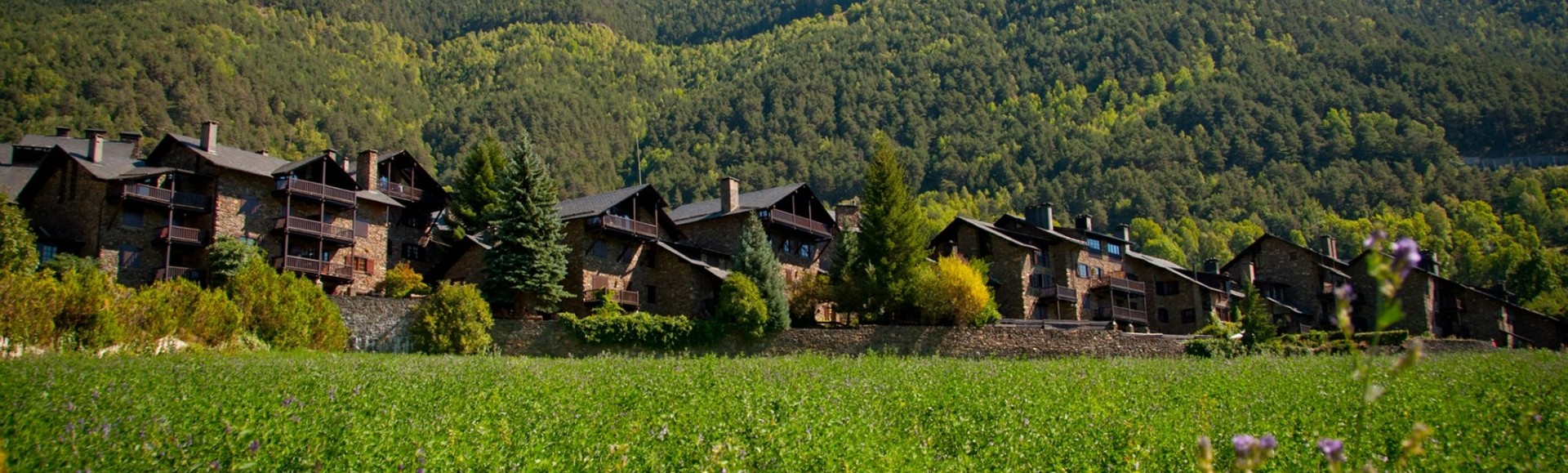 Ordino