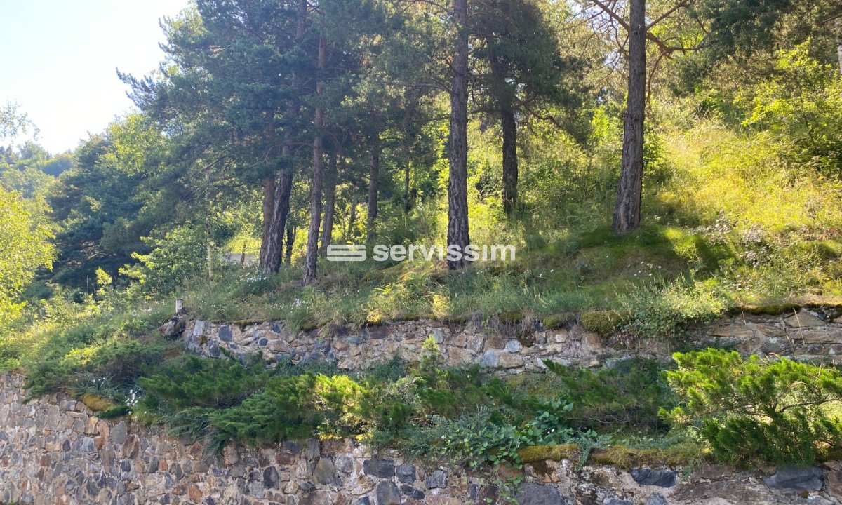 Terreny en venda a Aubinyà