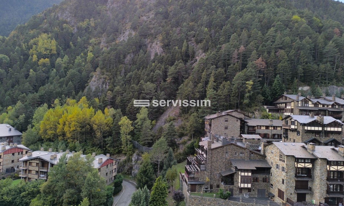 To Rent - Apartment / flat - Arinsal