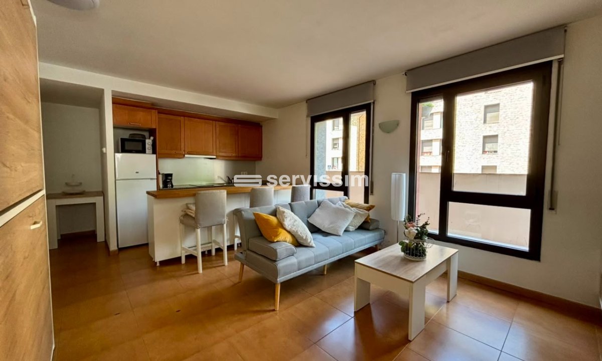 Piso de alquiler en La Massana, 1 habitación, 50 metros
